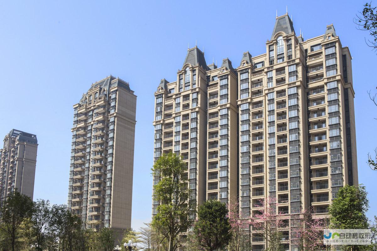 东莞南城专业网站建设服务:提升企业竞争力,拓展市场新机遇